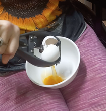 Load image into Gallery viewer, A person squeezes the handles of the gray, metal egg cracker, which breaks and separates the eggshell, allowing the yolk and whites to run down into a bowl that is sitting on their lap.
