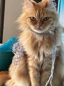 An orange tabby cat wrapped in some yarn is the user of the Litter Robot 4