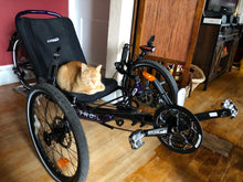 Load image into Gallery viewer, Cat sleeping on the trike, which is docked with its back wheel in the rolling wheel stand.
