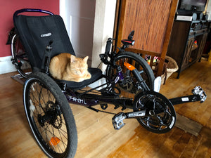 Cat sleeping on the trike, which is docked with its back wheel in the rolling wheel stand.