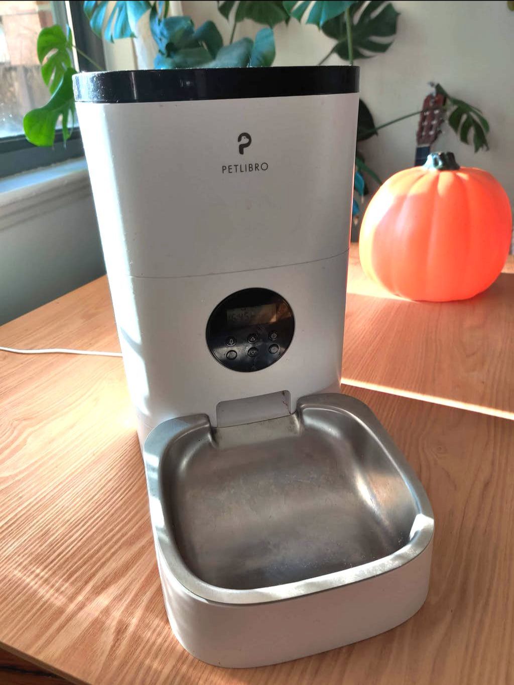 Pet feeder sits on a table with an orange pumpkin in the background. The pet feeder is white with a small black display, a black lid, and a silver tray.