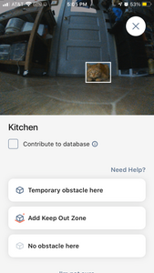 A screen shot of the app's view from the Roomba. It shows the Roomba picking up on the cat in front of it. 