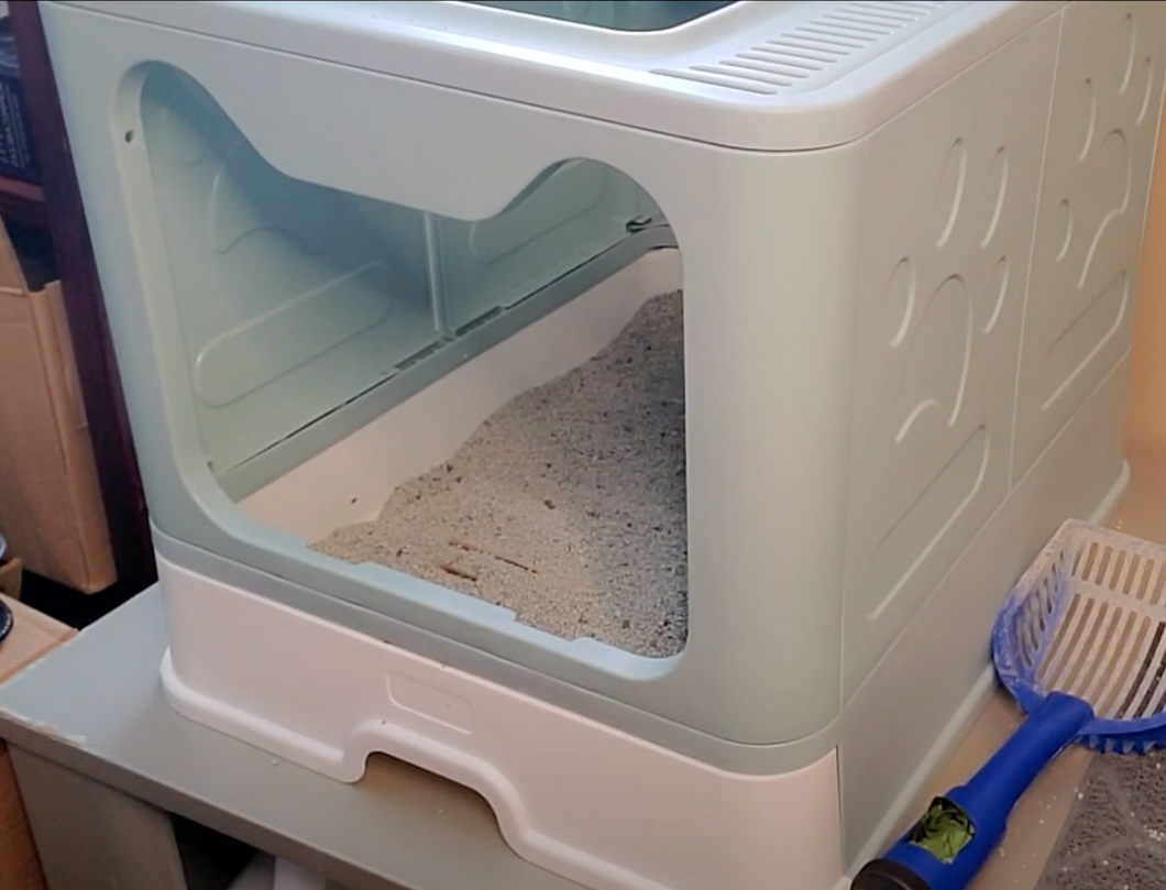 Another post-cleaning view of the cat litter box. Light sea-foam green container with cat-shaped opening, white tray, and blue shovel tool beside the litter box. 