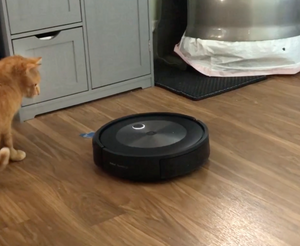 The black Roomba is at work on a wood floor. A cat is looking at it.