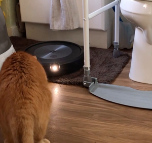 Roomba j7+ vacuum at work on a bathmat beside the toilet. An orange cat is looking at it. The device is black with one front lamp.