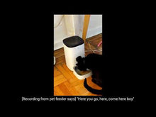 Load and play video in Gallery viewer, Automatic Pet Feeder
